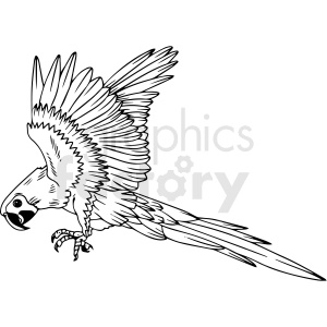 Line art of a flying parrot with detailed wings and feathers.