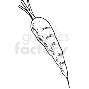 Black and White Carrot