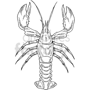 The clipart image shows a stylized lobster with its prominent features such as large claws, long antennae, segmented body, and tail. The image is in black and white, with clear lines depicting the anatomical details of the lobster, often associated with seafood cuisine.