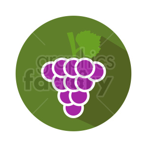 grape vector icons 3