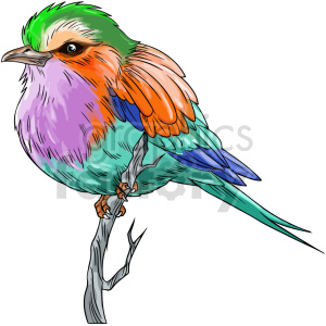   The clipart image shows a colorful bird in a vector style. The bird has a round body and a small head with a short beak. It has large wings that are spread out, and its tail is long and pointed. The bird