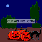 Animated black cat jumping over some pumpkins