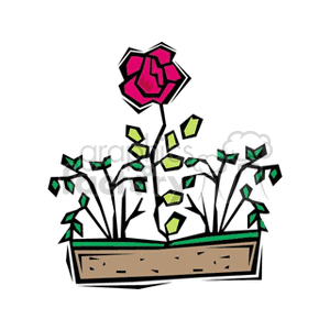 The clipart image depicts a stylized single red rose with green leaves, growing in a brown flower box. The rose appears prominent with its pink and red petals, and there are several green shoots with leaves surrounding it in the box.