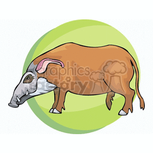 The image is a cartoon-style illustration of a pig or boar. It features the animal with prominent features such as a snout, depicted in a simplistic and colorful manner, typically seen in educational materials or children's books.