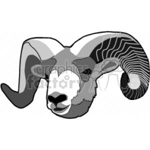 The image is a black and white clipart of a ram's head. The ram has large, curled antlers characterized by their distinct ridged texture.