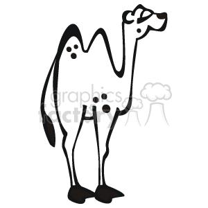 Black and white camel line drawing