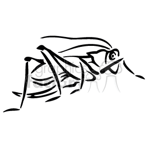   The image is a line drawing of a grasshopper. It
