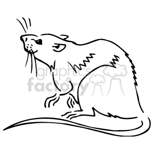 Line drawing of a brown rat