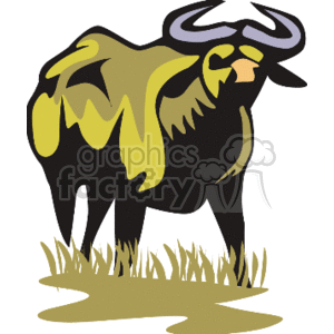 Large wildebeest standing in field
