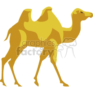 Yellow two-humped camel