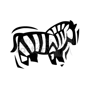 Black and white abstract zebra