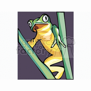 The clipart image shows a stylized green frog with a yellow belly, perched on a plant or reeds, perhaps in a water or wetland environment, commonly associated with amphibians. The frog appears to be illustrated in a simplistic, cartoon-like manner.