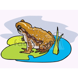 The clipart image depicts a brown frog with warts on its skin. The frog is sitting on a green lily pad which is floating on blue water. There is also a green leaf or grass blade depicted to the right of the frog.