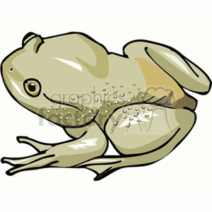 The clipart image shows a stylized frog, often associated with amphibians like bullfrogs. The frog is in a side view pose, capturing details like the eyes, limbs, and textured skin which suggests the frog's bumpy texture. The frog is not in water but is designed to represent its natural amphibious nature.