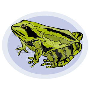 This clipart image features a green frog with black stripes, depicted in a profile view. The background is a simple pale blue oval.