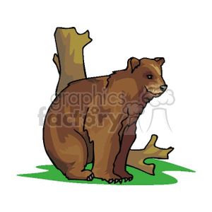 Brown bear sitting at base of a tree