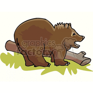 Brown bear cub next to fallen branch
