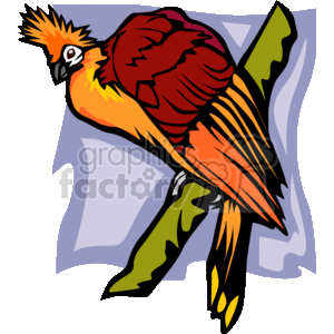 Vibrant colored tropical bird