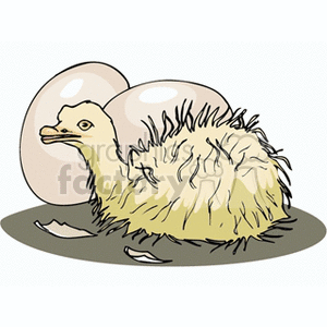 The image depicts a baby ostrich (a hatchling) that has just hatched from its egg. There are visible eggshells scattered around the newborn bird. The bird is fluffy, primarily in shades of yellow and brown, looking like a typical young ostrich chick. Behind the chick, another egg is illustrated, perhaps suggesting the possibility of a sibling about to hatch.