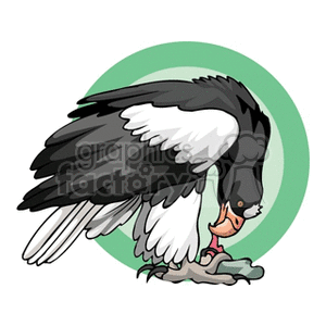 Clipart image of a bird with black and white feathers standing on a branch, with a green circular background.