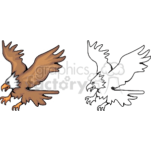 Clipart image featuring two drawings of an eagle in flight. The first image is a colored illustration of a brown eagle with a white head, while the second image is a black and white outline of the same eagle.