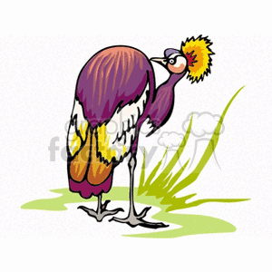 Clipart image of a colorful crested bird standing in grass.