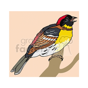 Colorful clipart illustration of a bird with a red head, yellow and black body, and brown wings perched on a branch.