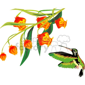 A clipart illustration of a hummingbird hovering near a cluster of yellow and orange flowers.