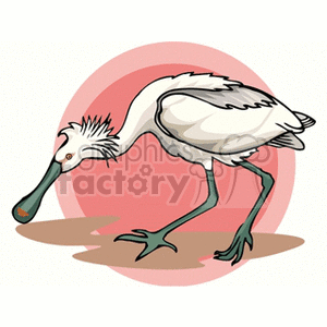 A clipart image of a white bird with a long neck and legs, standing in front of a red circular background.