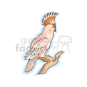 A colorful clipart image of a tropical bird perched on a branch, with an elaborate crest on its head.