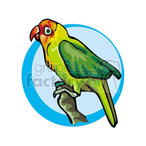 Colorful clipart illustration of a parrot with green and yellow feathers sitting on a branch, set against a blue circular background.