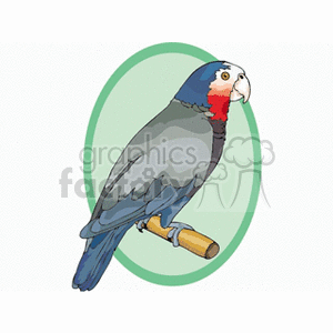 Clipart image of a colorful parrot with blue, gray, red, and white feathers perched on a wooden stick inside a green oval frame.