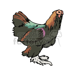 A colorful clipart image of a chicken with vibrant feathers. The chicken is illustrated with a variety of hues including green, purple, brown, and orange.