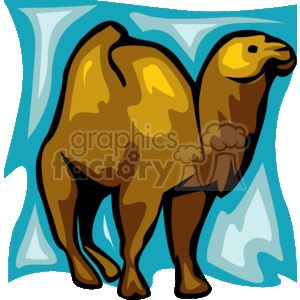 Brown Bactrian camel in a blue background