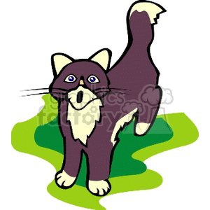 The image is a simple clipart illustration of a purple and white cat. The cat appears to be standing on a patch of green, which could represent grass. The cat has a prominent white chest, white paws, and a white-tipped tail. It also features large, round eyes and long whiskers.