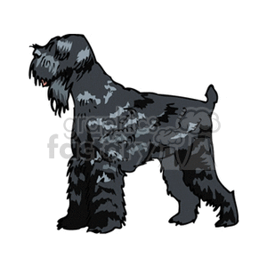 Illustration of Curly-Furred Dog in Profile View - Canine