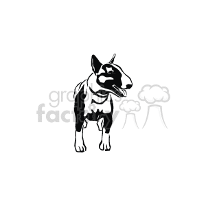 The image contains a line art drawing of a bull terrier dog. The dog appears to be standing, facing slightly to the side, and its facial expression and body language suggest it is alert or attentive. The clipart style is simplistic, with enough detail to define the shape and some features of the dog.