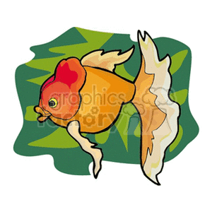 The clipart image depicts a stylized tropical fish with a prominent red head and orange body, complemented by white and translucent fins. The fish appears to be swimming against a backdrop of green aquatic plants, emphasizing its vibrant colors and motion.
