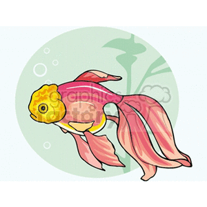 This is a stylized clipart image showing a brightly colored fish resembling a tropical or exotic species, often found in underwater scenes. The fish has prominent, flowing fins and a distinguished yellow head feature that could represent a type of headgrowth seen in goldfish variants like Orandas. It’s set against a backdrop suggesting an underwater environment with bubbles and aquatic plant silhouettes.