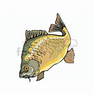 This is a clipart image of a stylized fish. The fish appears to be a freshwater species, illustrated in colors of yellow, brown, and green.