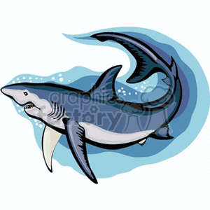 Cartoon Shark Image - Ocean Predator