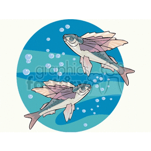 Cartoon Fish Swimming