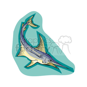 Swordfish Illustration - Marine Life