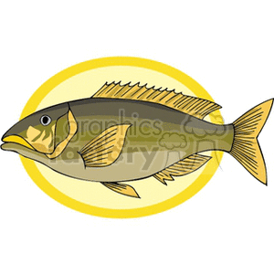 Illustration of a Yellow and Brown Fish