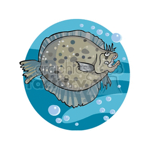 Tropical Flatfish - Underwater Marine Life