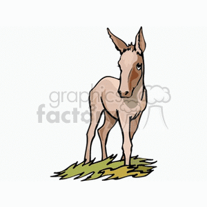 Illustration of a Young Donkey Standing on Grass