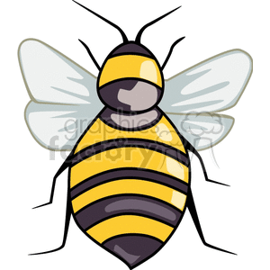 Clipart image of a bee with yellow and black stripes and translucent wings.