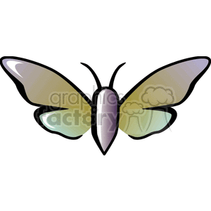 A colorful butterfly clipart image with gradient wings in shades of green and purple.