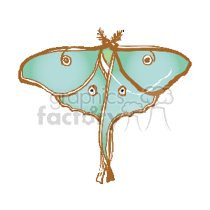 The clipart image depicts a stylized representation of a moth. The key features include the broad wings showcasing typical moth markings that somewhat resemble eyes (which are common in some moth species as a defensive mechanism), the feathery antennae distinctive of many moth species, and the long, slender body connecting the wings. The color scheme is primarily in shades of green and brown, which may indicate camouflage, a common adaptation in moths to blend into their environment.