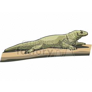 The image is a clipart illustration of a lizard resting on a flat surface, possibly a rock or a piece of wood. The lizard is depicted with a simple design, typically used for educational materials, children's illustrations, or generic reptile-themed content.